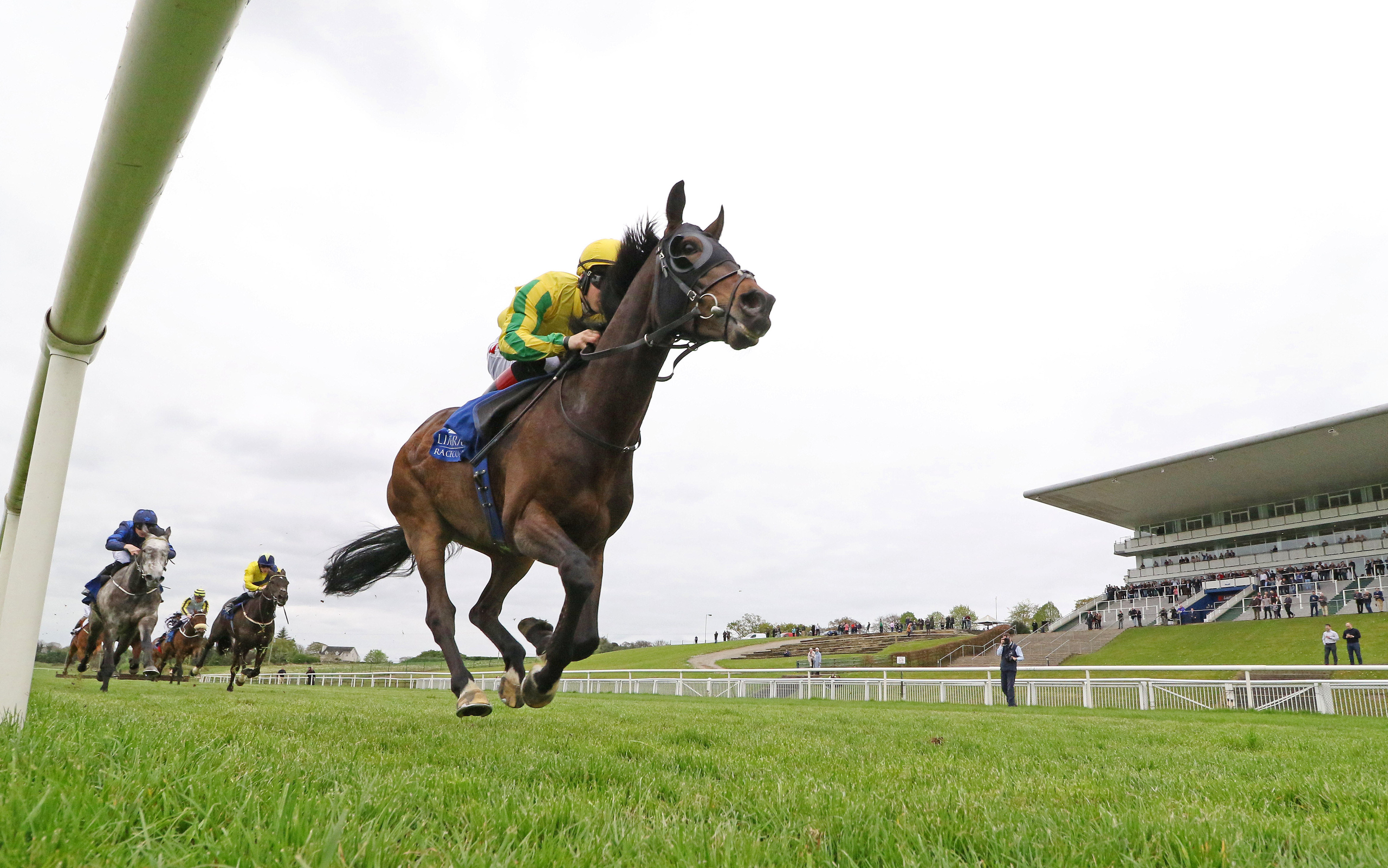 SONG OF NAMIBIA notches up at Double at Limerick for Ger and Colin 22nd April 2017